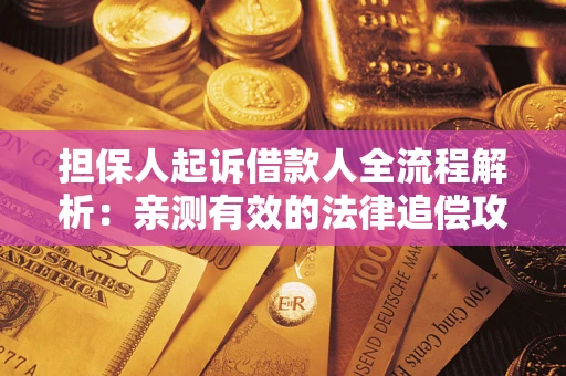 武汉担保人起诉借款人全流程解析：亲测有效的法律追偿攻略