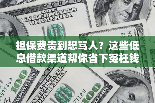 武汉担保费贵到想骂人？这些低息借款渠道帮你省下冤枉钱