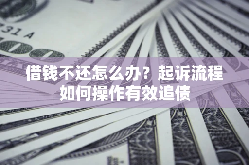 武汉借钱不还怎么办？起诉流程如何操作有效追债