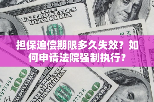 武汉担保追偿期限多久失效？如何申请法院强制执行？