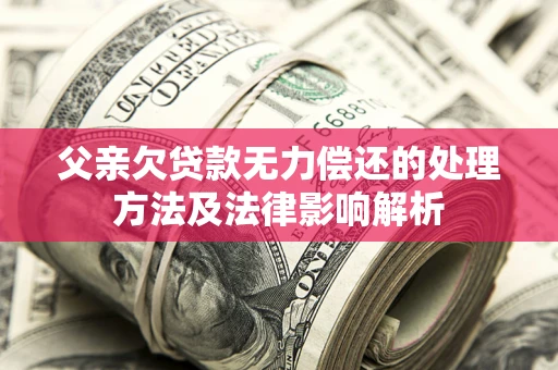 武汉父亲欠贷款无力偿还的处理方法及法律影响解析